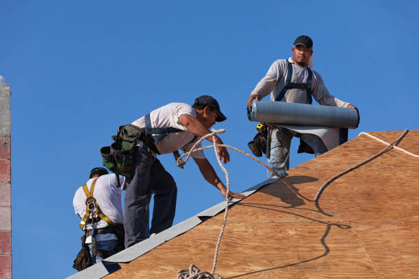 Best New Roof Installation  in Massanetta Springs, VA