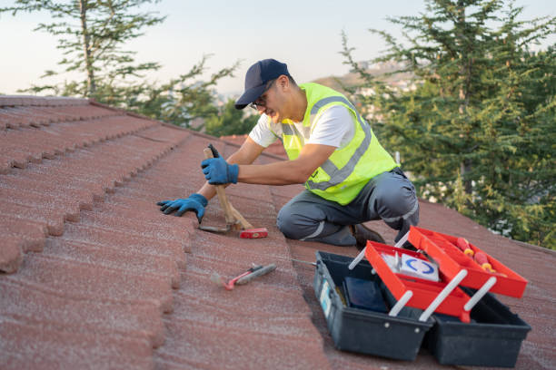 Best Roof Gutter Cleaning  in Massanetta Springs, VA