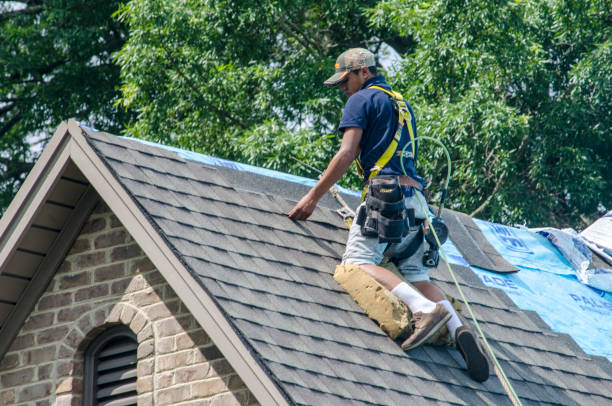 Best Local Roofing Companies  in Massanetta Springs, VA